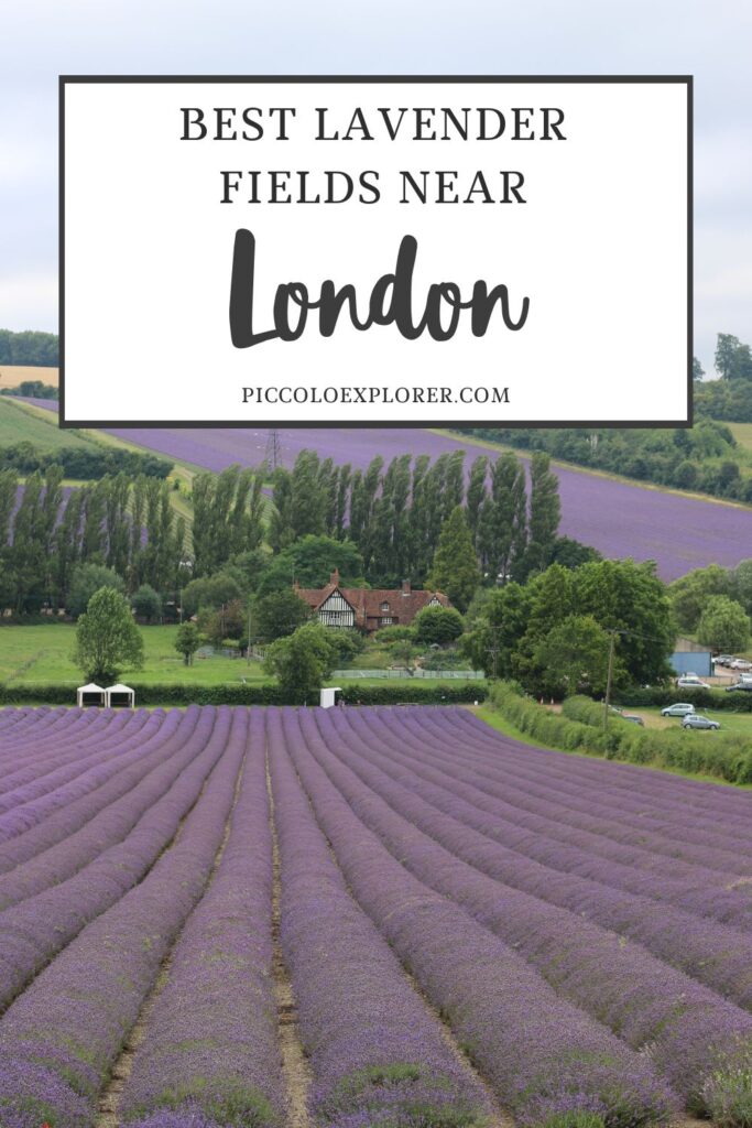 Best London Fields near London