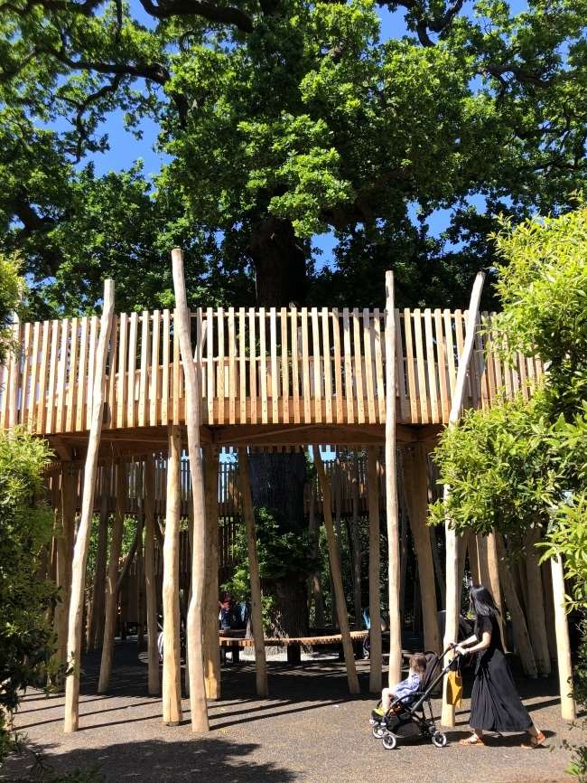 Canopy Walk Childrens Garden Kew Gardens