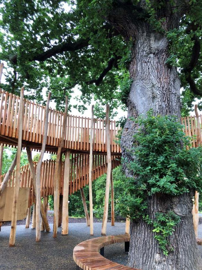 Canopy Walk oak tree Kew Childrens playground