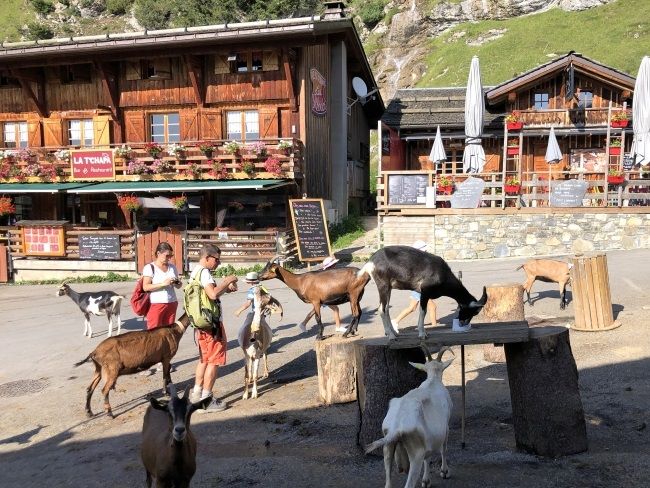 Les Lindarets Goat Village Morzine