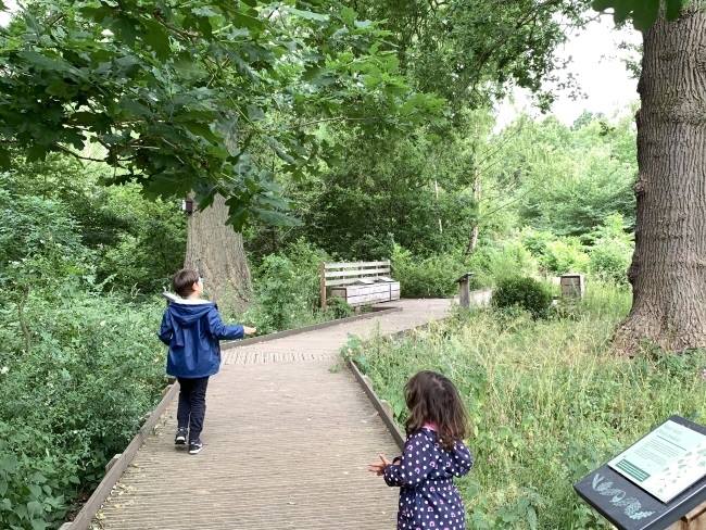 Woodland Walk Natural Area Kew Gardens with Kids