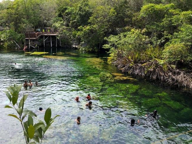 Cenote Jardin del Eden Riviera Maya