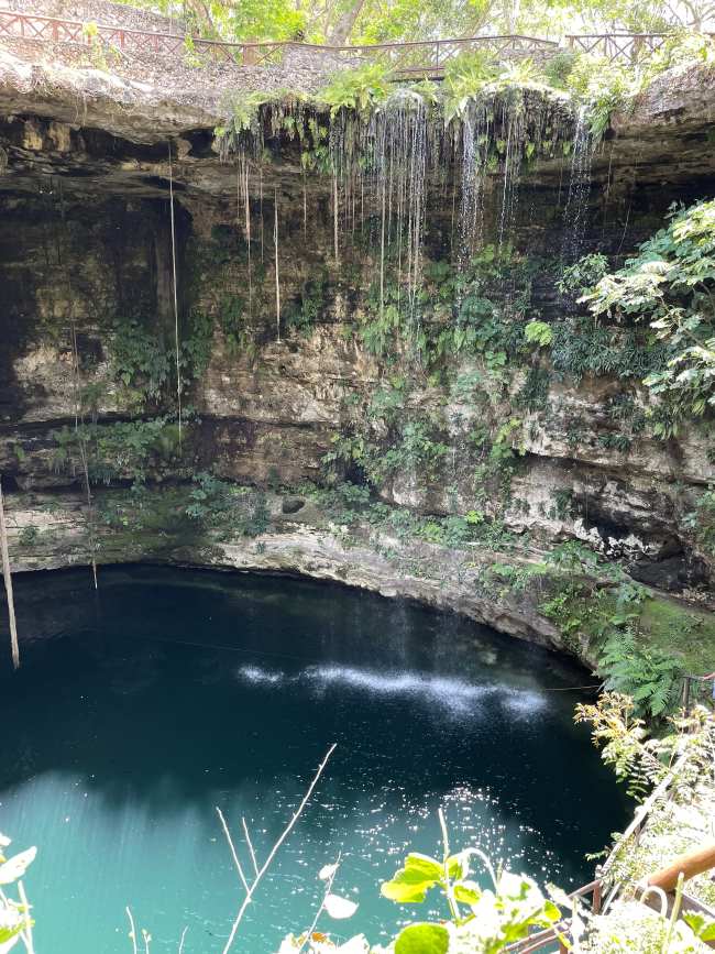 Cenote Saamal Valladolid Mexico