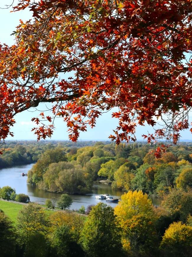 Autumn Colours in London Richmond Hill
