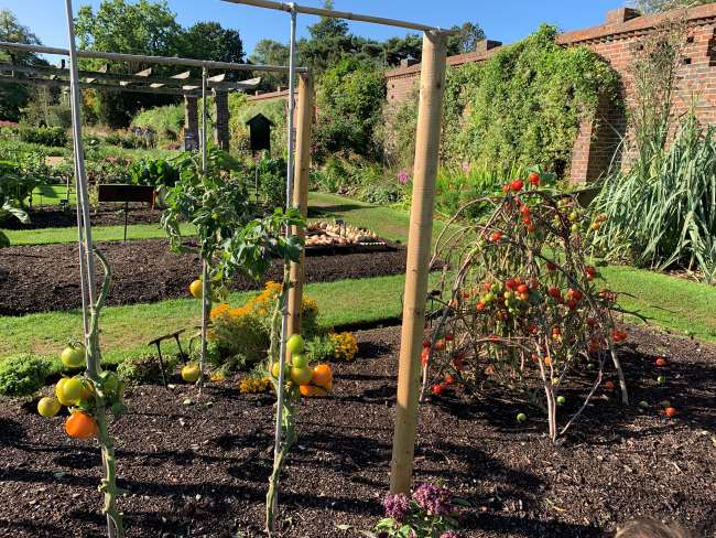 Autumn in Kew Gardens Kitchen Garden