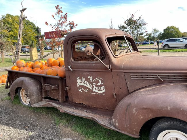 Tulleys Farm Pumpkin Patch