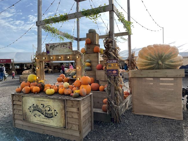 Tulleys Pumpkin Farm Sussex