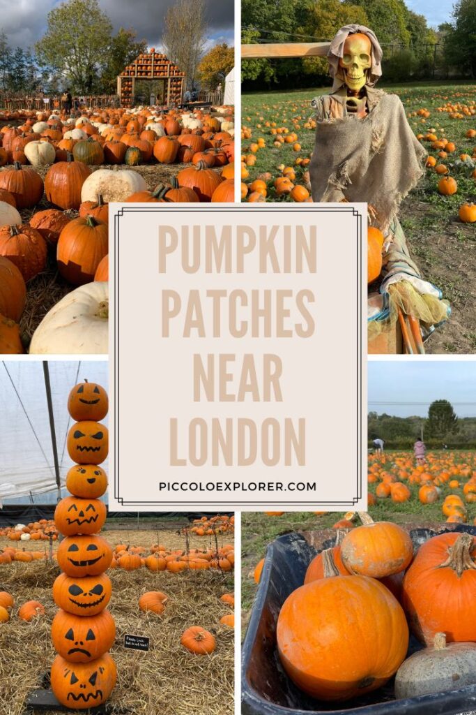Pumpkin patches near London 2023