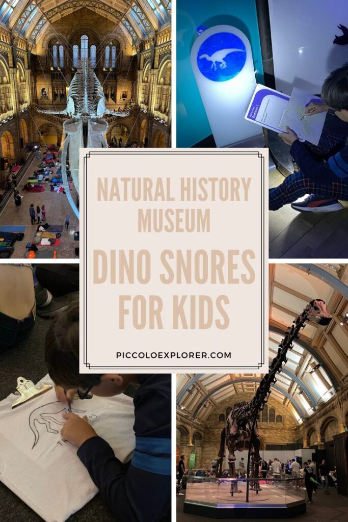 Dino Sleepover Natural History Museum