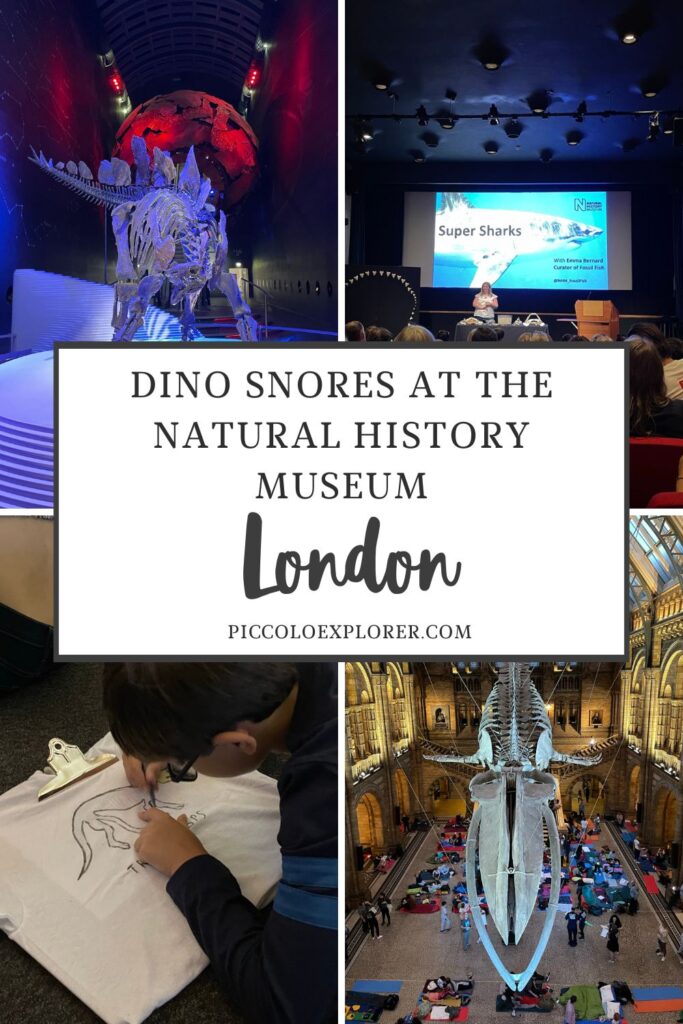 Dino Snores for Kids London