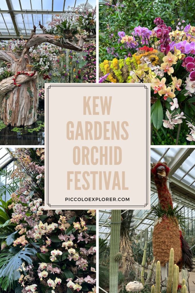 Kew Gardens Orchid Festival 2024