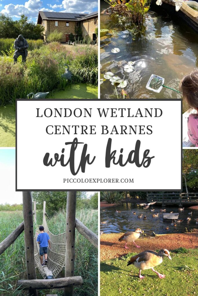 London Wetland Centre Barnes with Kids