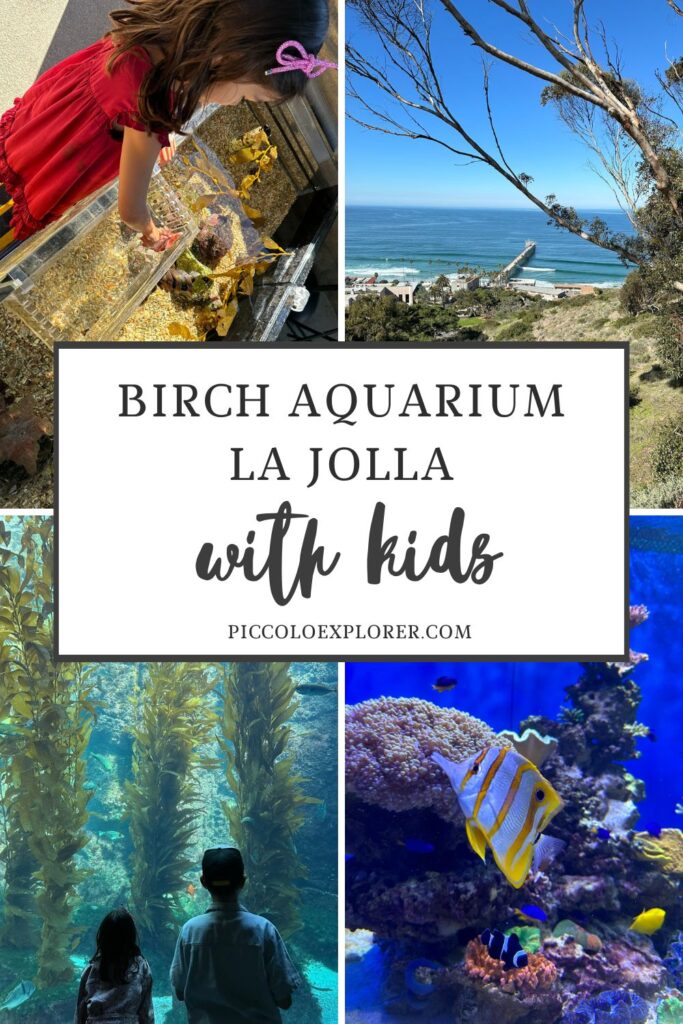 Birch Aquarium La Jolla San Diego with Kids