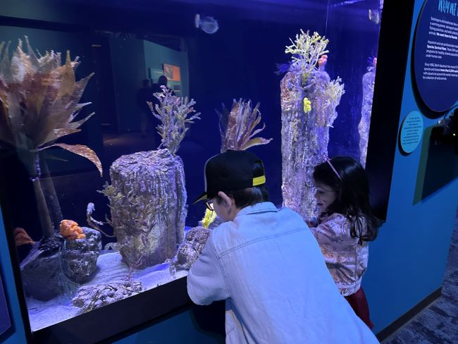 Birch Aquarium La Jolla for Families