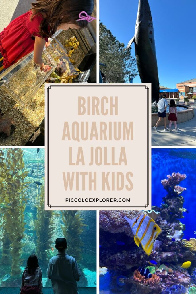 Birch Aquarium La Jolla with Kids