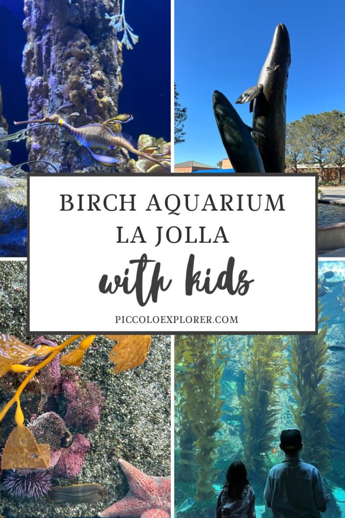 Birch Aquarium reviews