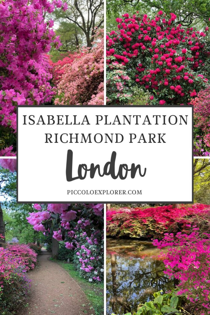 Isabella Plantation Richmond Park London