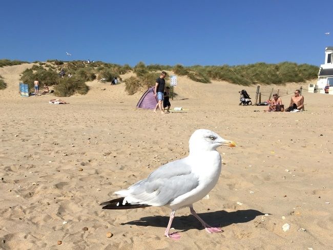 Summer beach days out in East Sussex