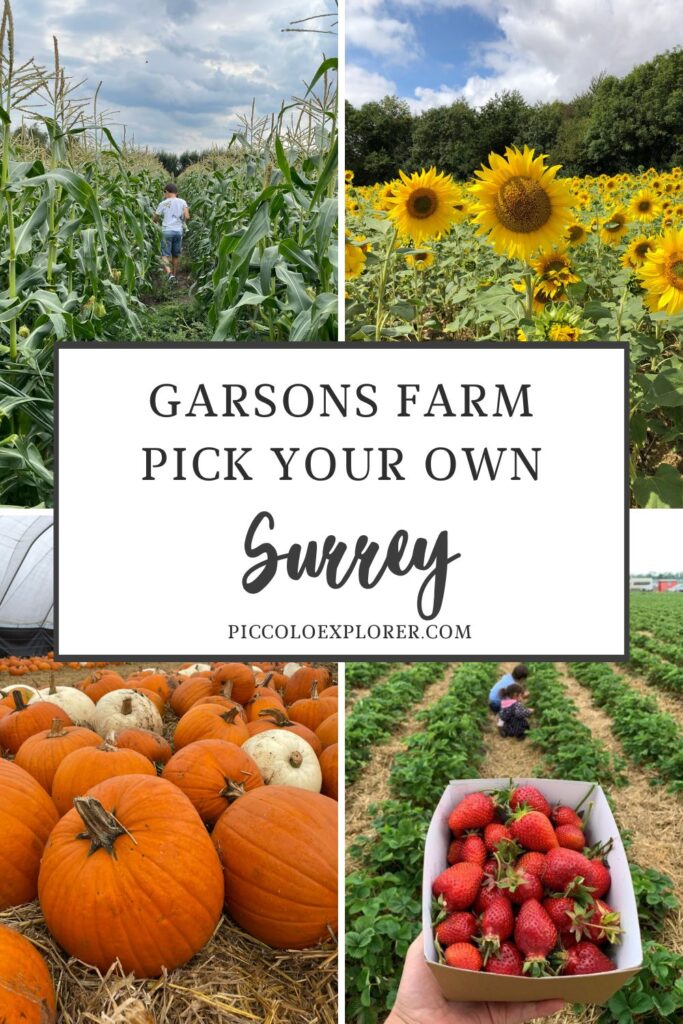 Garsons Farm Esher Pick Your Own