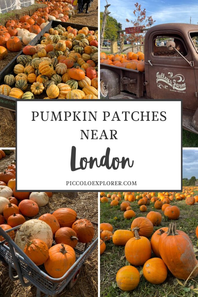 Pumpkin Picking London