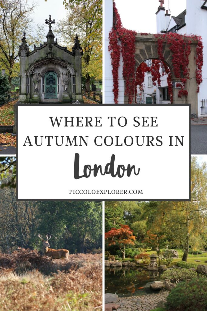 Where to See Autumn Colours in London