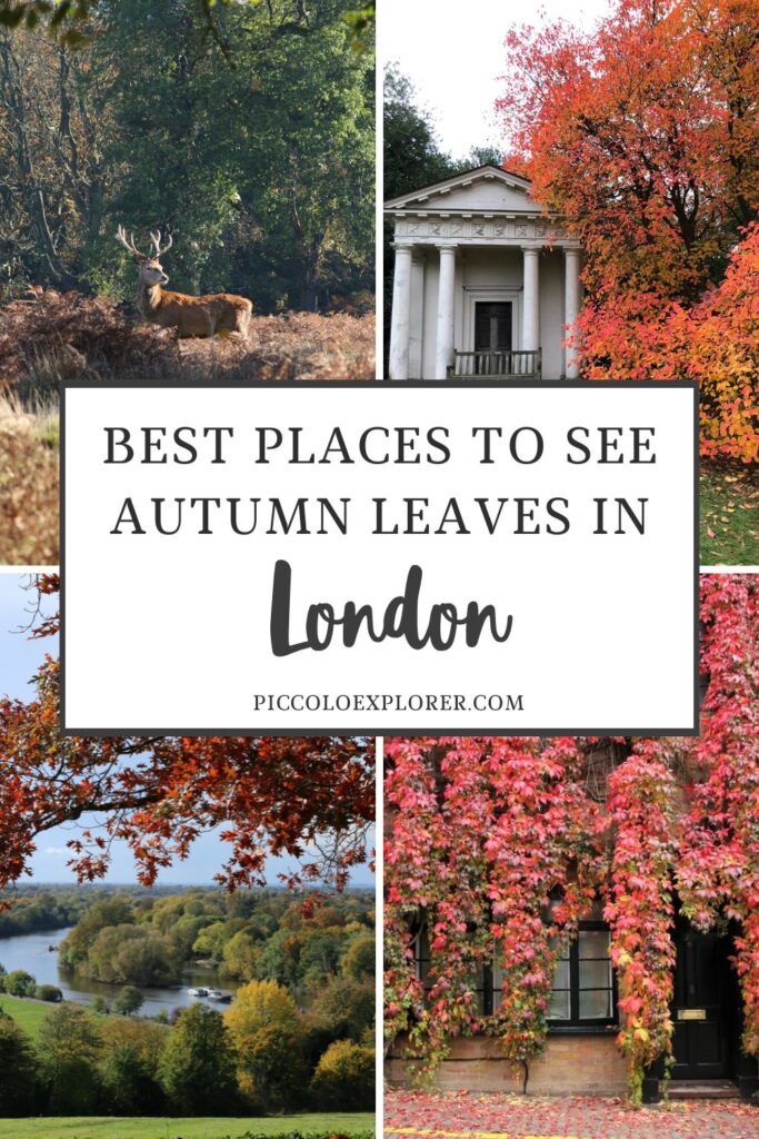 Where to See Autumn Leaves in London