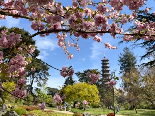 Spring at Kew Gardens