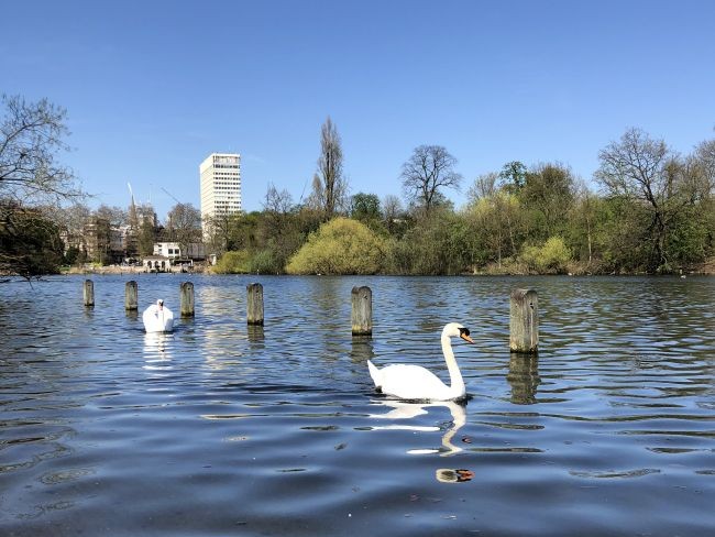 Hyde Park London with Kids